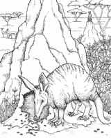 A coloring page of nature in africa